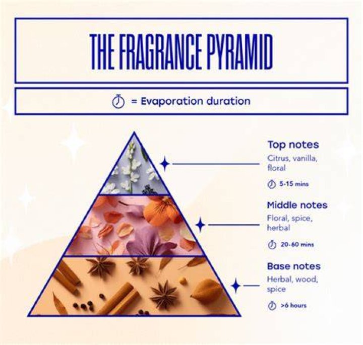 What are the three perfume notes?