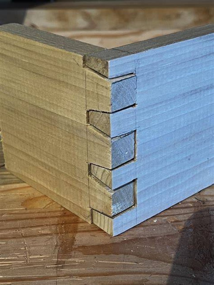 What color are dovetails?