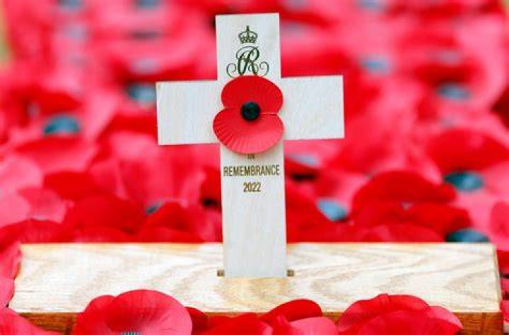 What do poppies symbolize?