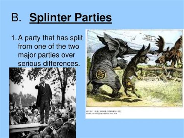 What does a splinter party mean?