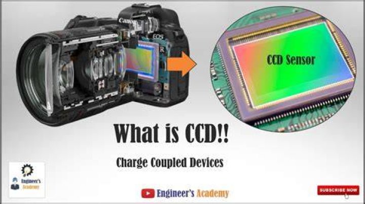 What does CCD mean in insurance?