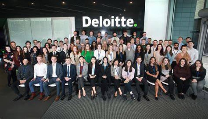 What does Deloitte actually do?