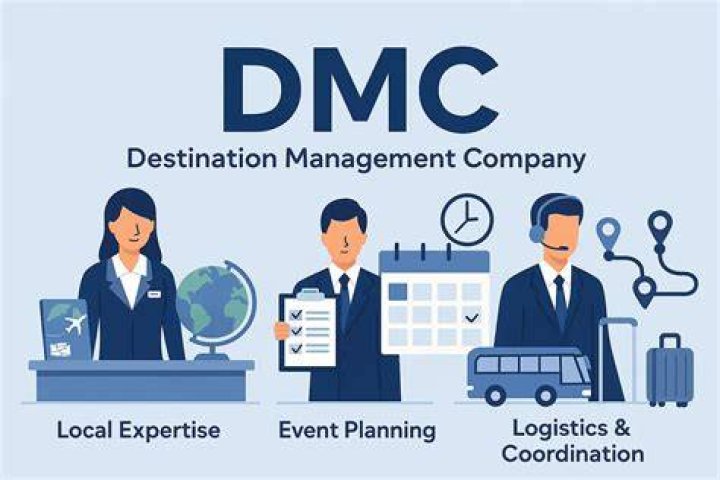 What does DMC mean Panasonic?