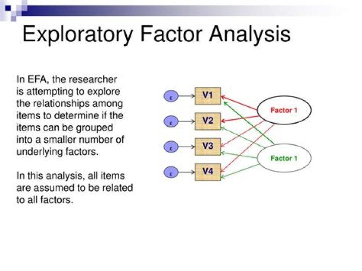 What does exploratory factor analysis do?