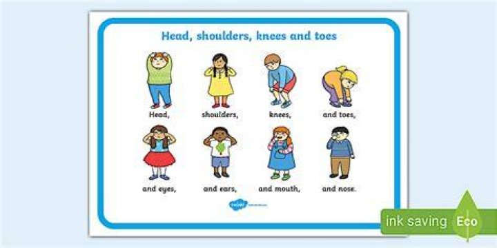 What does Head shoulders knees and Toes teach?