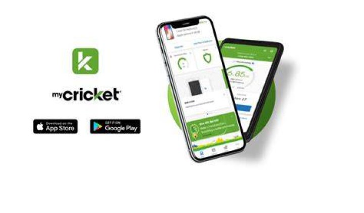 What does the myCricket app do?