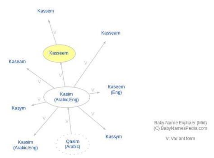 What does the name kasseem mean?