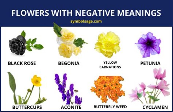 What flower symbolizes negative?