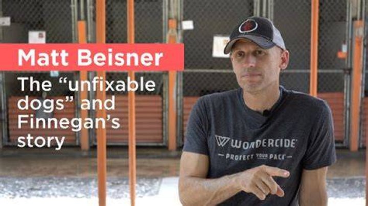 What happened Matt beisner?