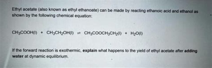 What happens when ethyl acetate is mixed with water?