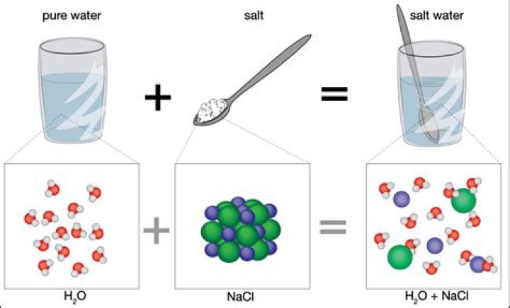 What happens when you put salt in a cup of water?