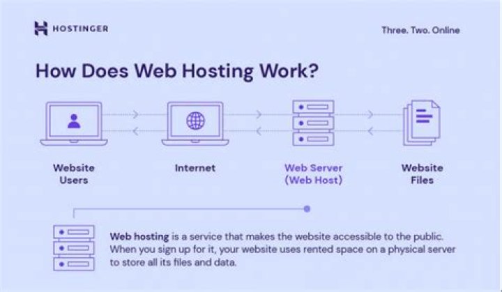 What is a file hosting website?