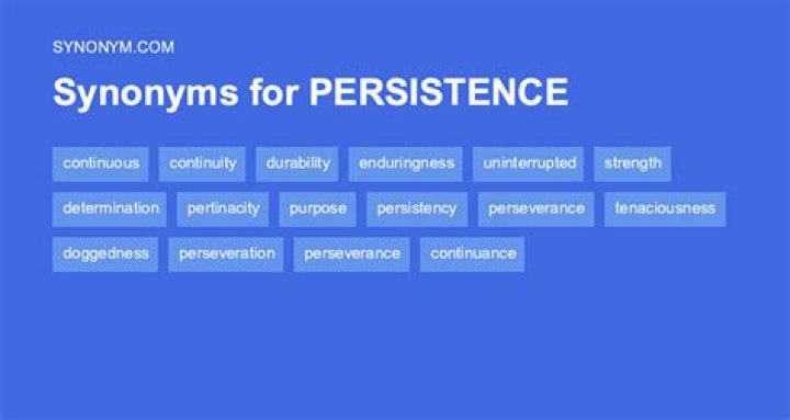 What is a good synonym for persistence?