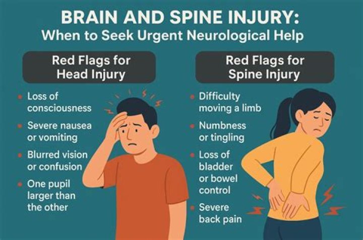 What is brain and spine injury?