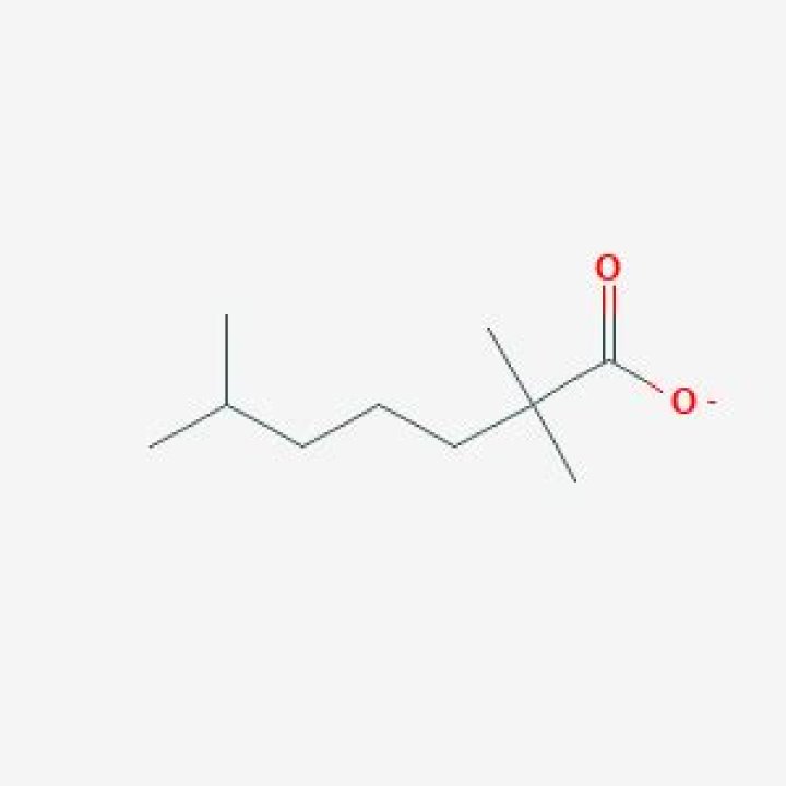 What is c10h19o2?