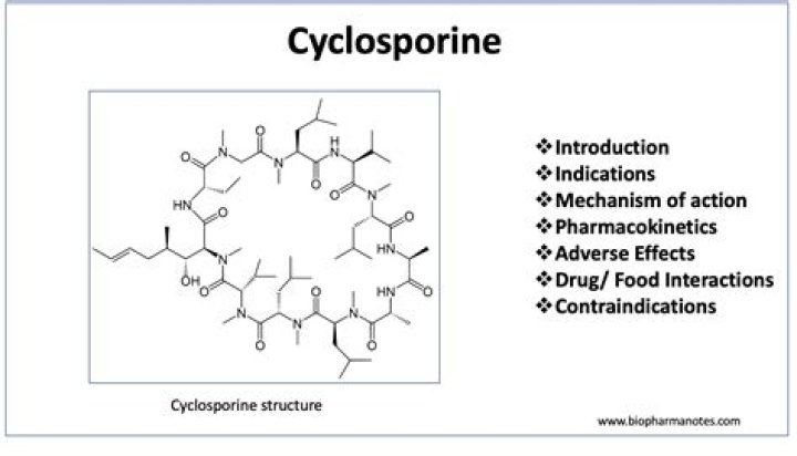What is cyclosporine used for in animals?