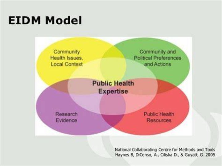What is EIDM model?