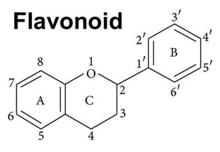 What is flavonoid in chemistry?