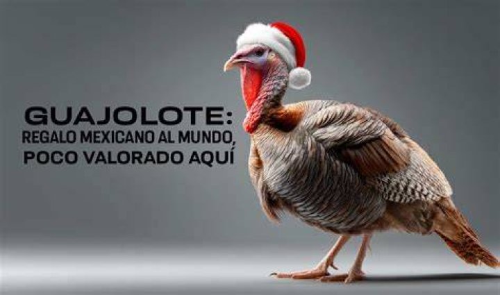 What is guajolote called in Mexico?