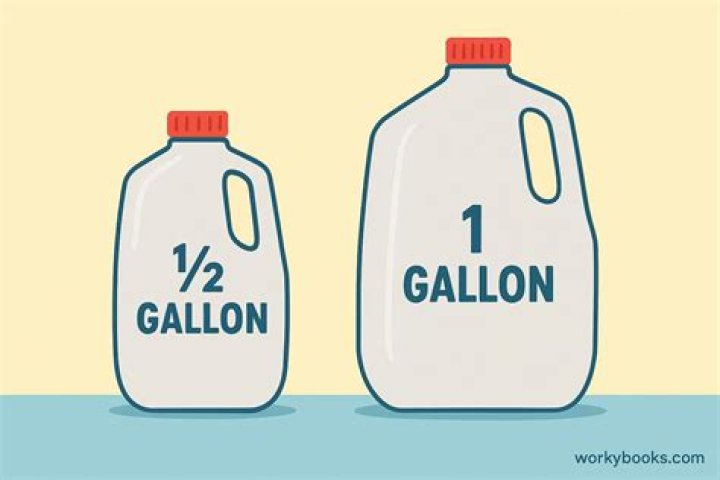 What is half of a 1 gallon?