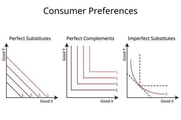 What is imperfect substitutes in economics?