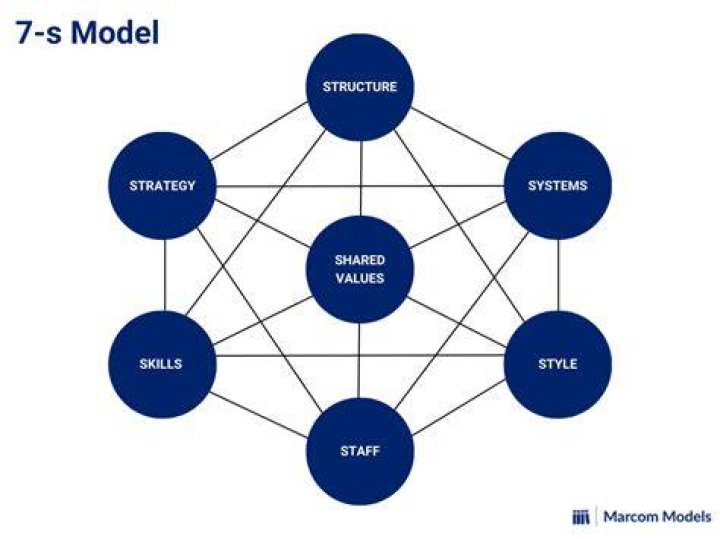 What is McKinsey 7S model explain briefly?