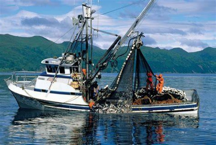 What is meant for commercial fishing?