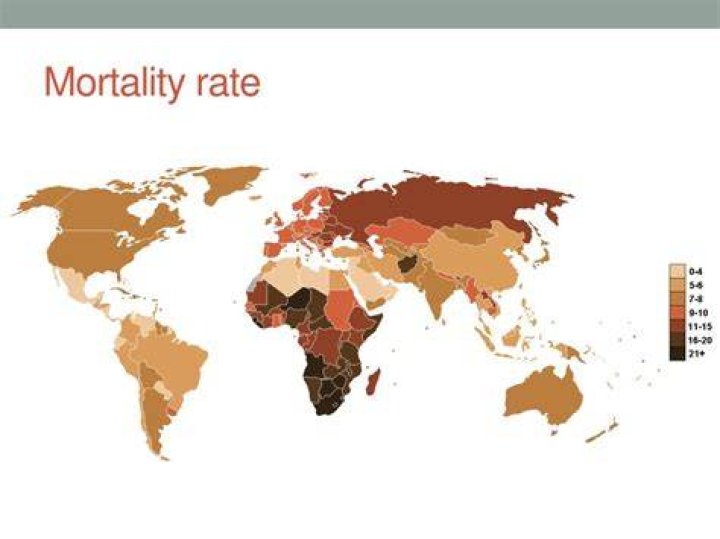 What is mortality in human geography?