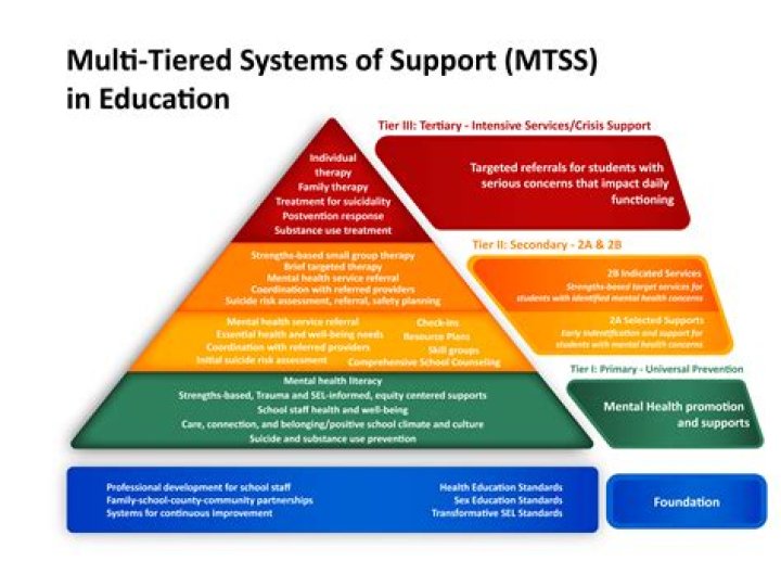 What is Mtss FL?
