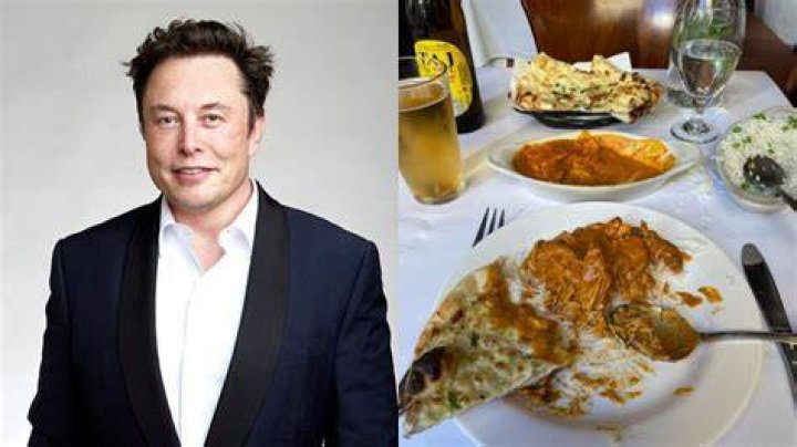 What is musk food?