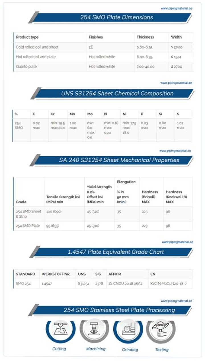 What is S31254 material?