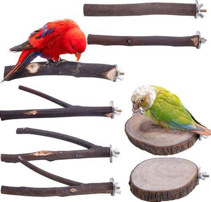 What is the best wood for bird perches?