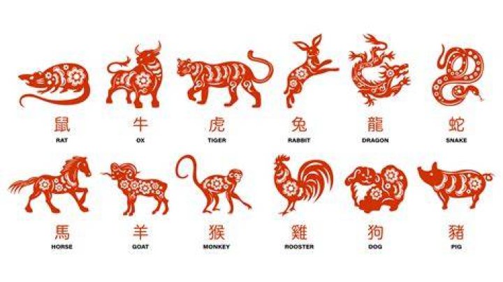 What is the Chinese sign for November?