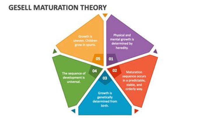 What is the concept of maturation theory?