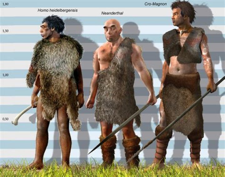 What is the difference between Cro-Magnon and modern man?