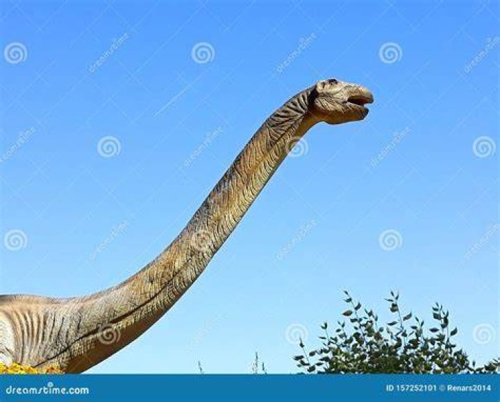 What is the dinosaur with the long neck in Jurassic Park?