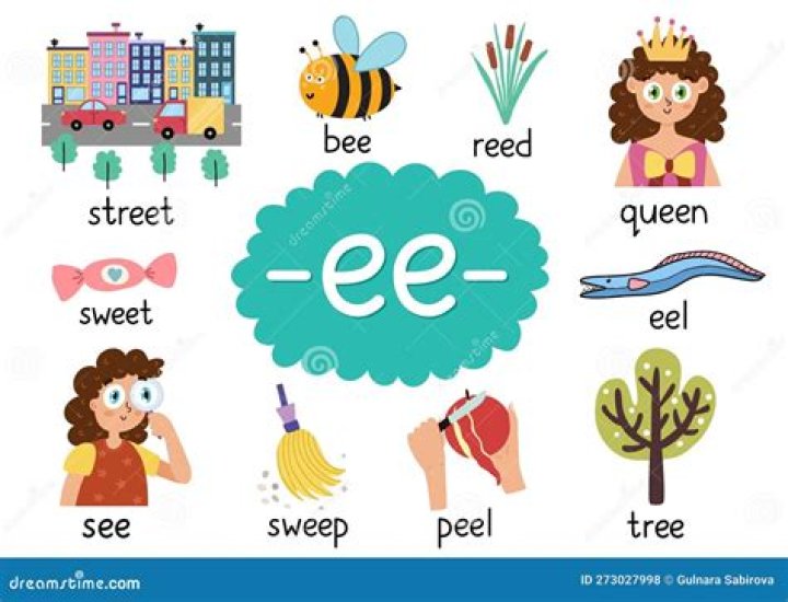 What is the EE digraph?
