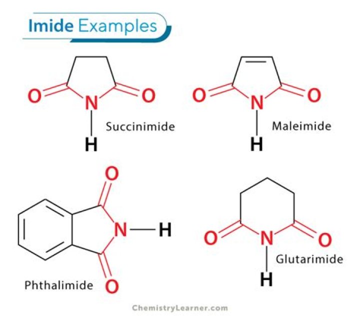 What is the general formula of imide?