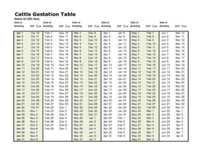 What is the gestation of a Dexter cow?