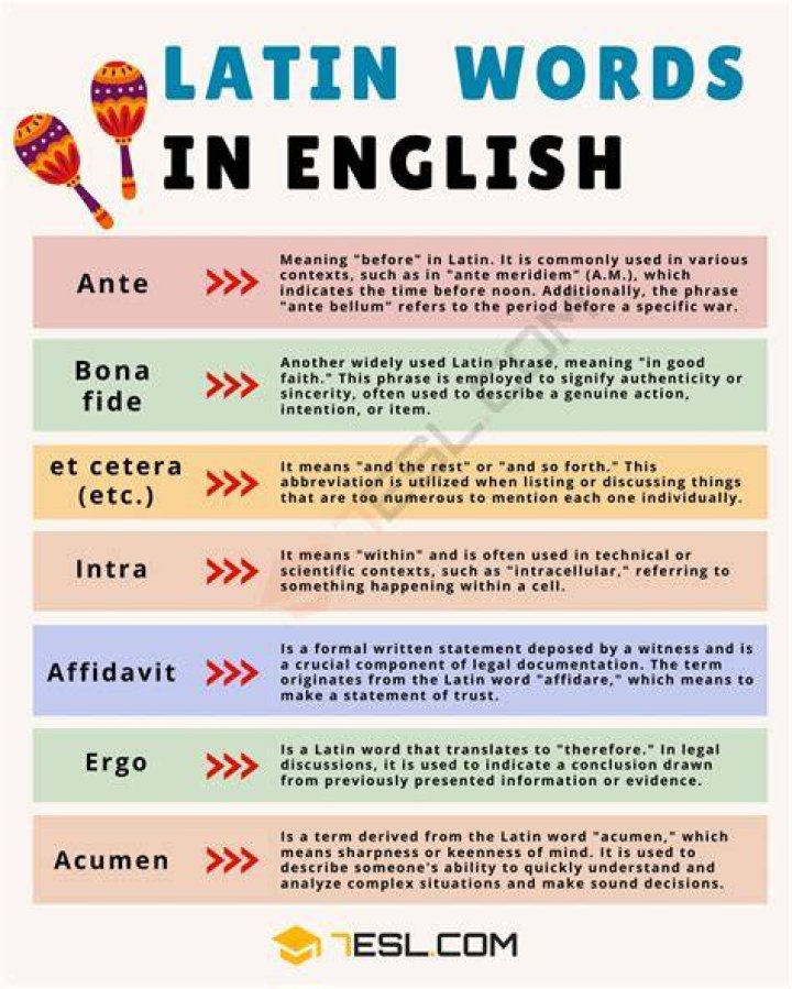 What is the Latin for education?