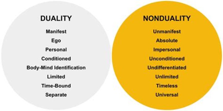 What is the meaning of non-duality?