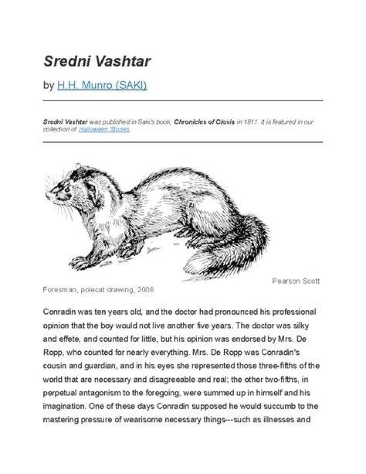 What is the message of Sredni Vashtar?