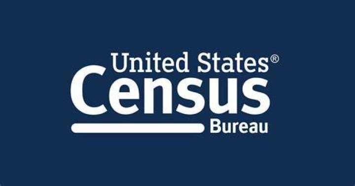 What is the official census website?