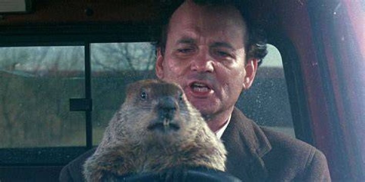 What is the plot of Groundhog Day?
