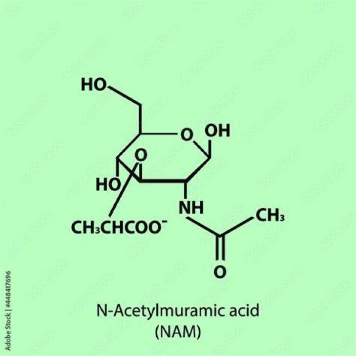 What is the structure of N-acetylmuramic acid?