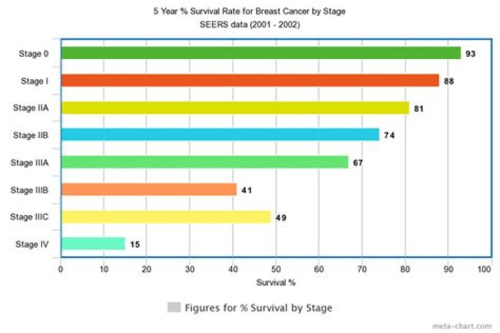 What is the survival rate for triple negative metastatic breast cancer?