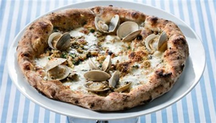 What kind of clams are on New Haven pizza?