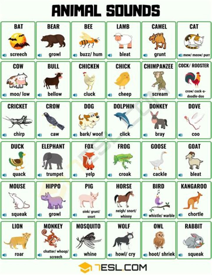 What makes an N sound?