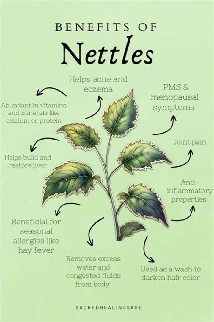 What plants benefit from nettle feed?
