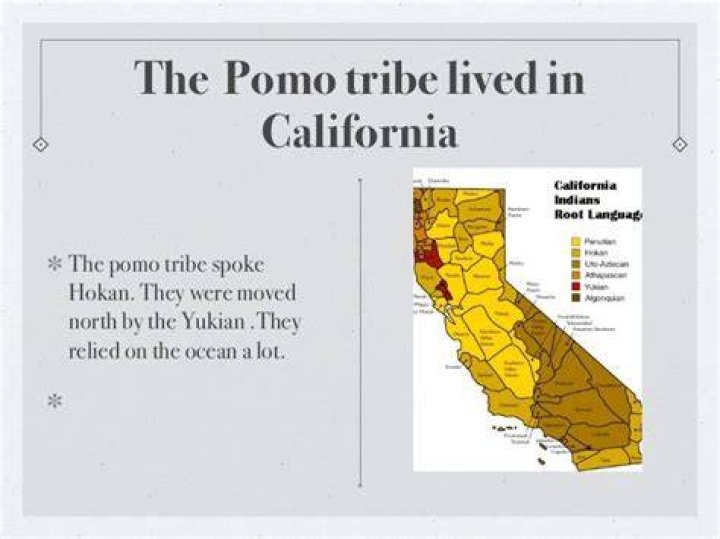 What region did the Pomo tribe live in?